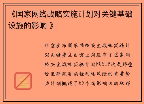《国家网络战略实施计划对关键基础设施的影响 》