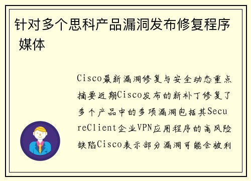针对多个思科产品漏洞发布修复程序 媒体